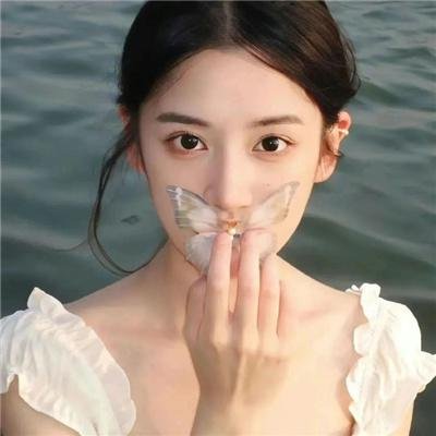 龙年档案